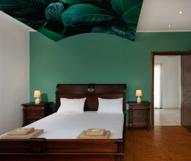 Luxueuse maison de ville à Pentamodi